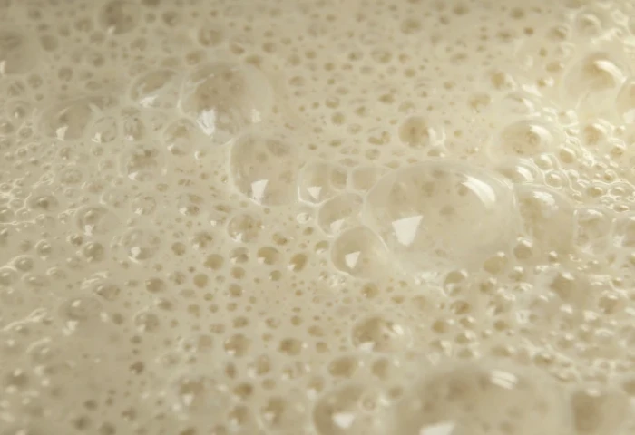 Nutrientes – Aumento da propagação do fermento no início da safra